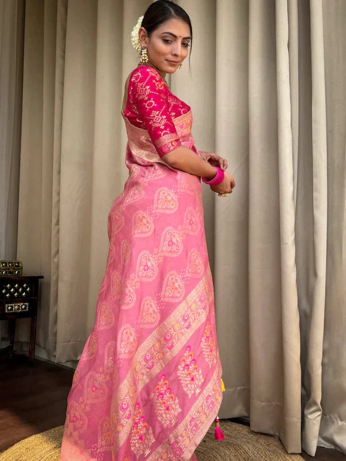 New Look Rasbari Saree