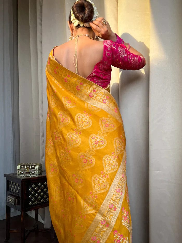 New Look Rasbari Saree
