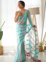 Fancy Work Butterfly Net Sky Colour Saree