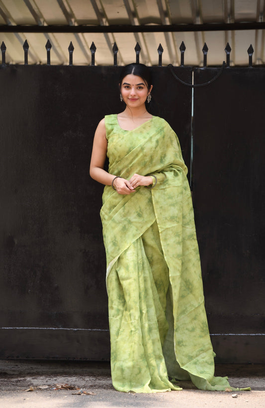 Pure Organza Pista Colour Linen Saree