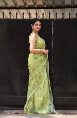 Pure Organza Pista Colour Linen Saree